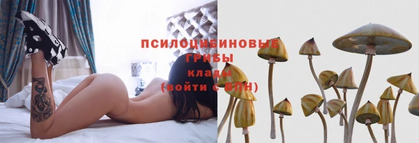 скорость Абаза