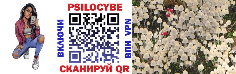 Галлюциногенные грибы Psilocybine cubensis  Североморск 